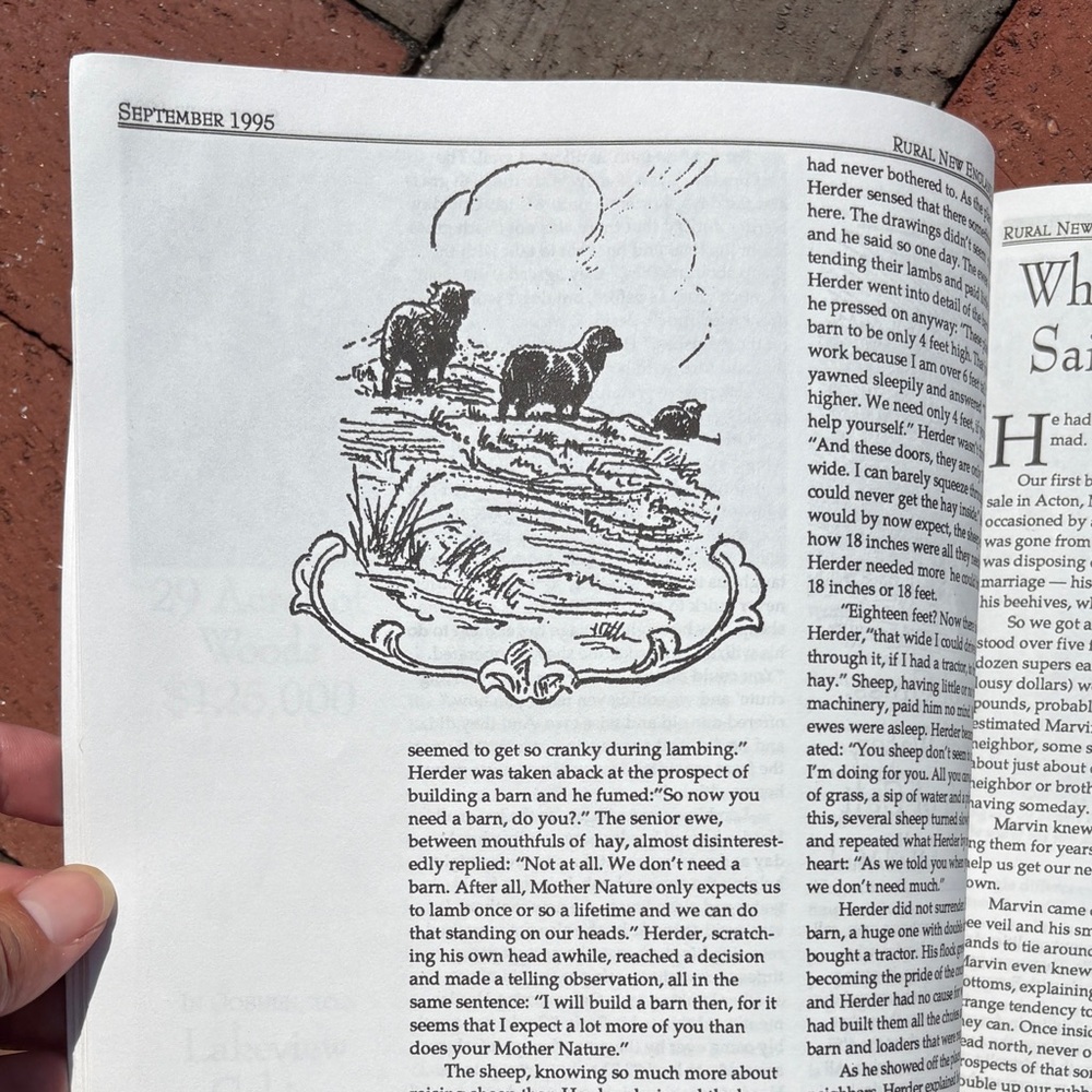 1995 Rural New England Magazine Homesteading Yankee Living History Newsletter - Picture 5 of 10